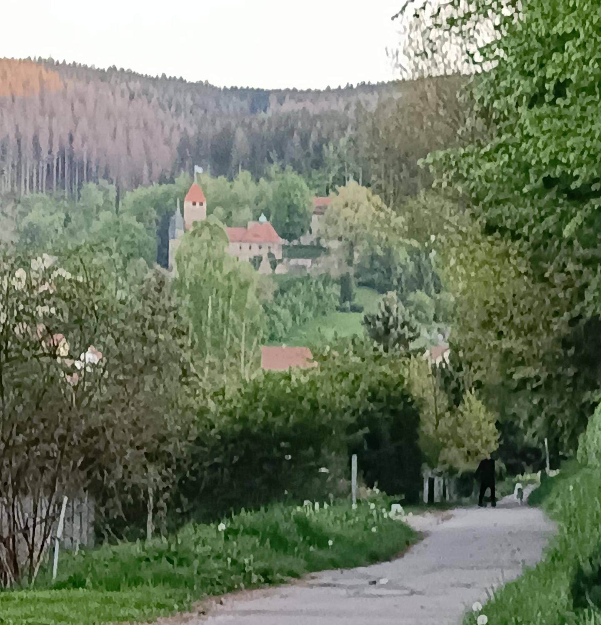 Ferienwohnung Hey Elgersburg Екстер'єр фото